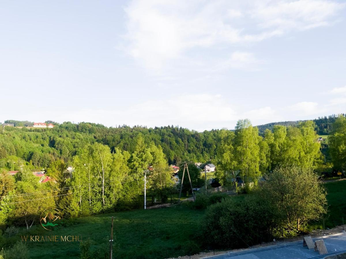 Apartamenty "Kwiaty Nocy" I "W Krainie Mchu" - Wisła Exteriör bild